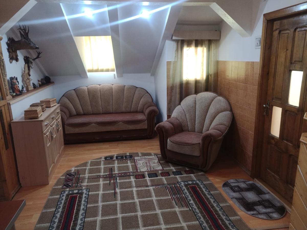 فيلا Casa Cristian Câmpulung Moldovenesc المظهر الخارجي الصورة
