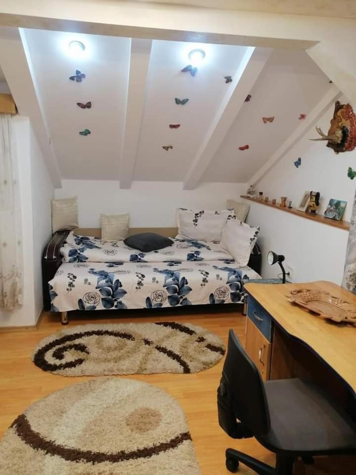 فيلا Casa Cristian Câmpulung Moldovenesc المظهر الخارجي الصورة